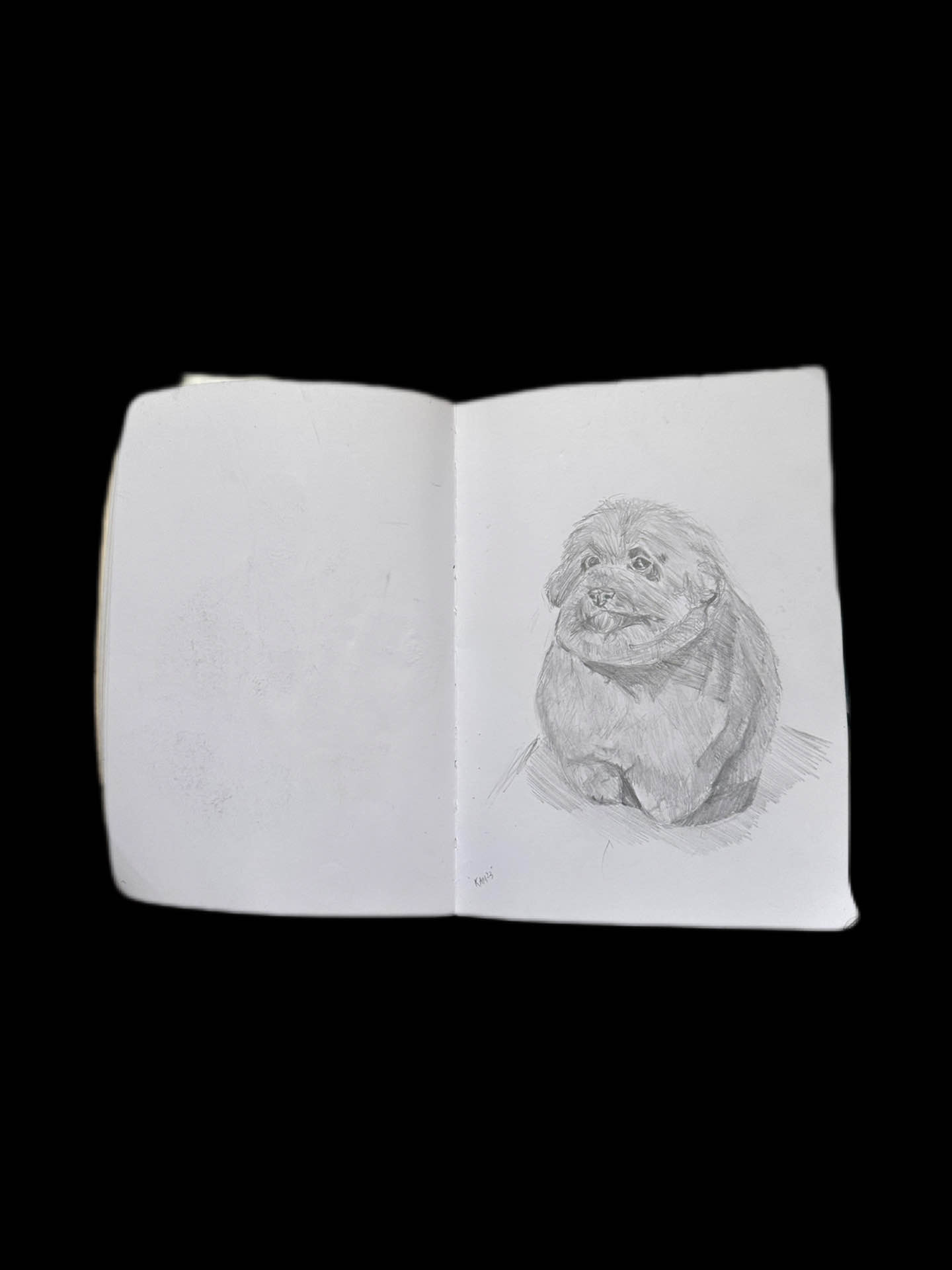 dog